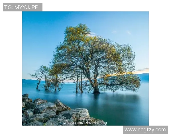 聚焦跳水运动魅力呈现世界顶级选手精彩竞技瞬间与坚韧精神魅力光